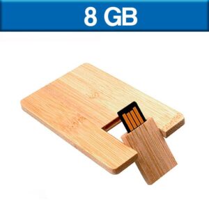 USB212 - USB Tarjeta Ecológica 8 GB